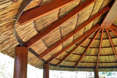 018-Oval_African_Re-thatch-960×300