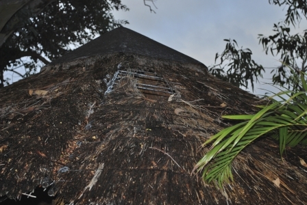 African_Rethatch_002-960×300