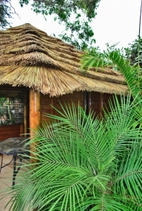 African_Rethatch_003-960×300