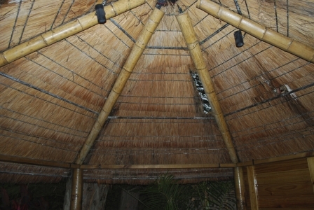 African_Rethatch_005-960×300
