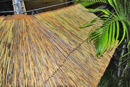 African_Rethatch_007-960×300