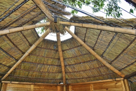 African_Rethatch_010-960×300