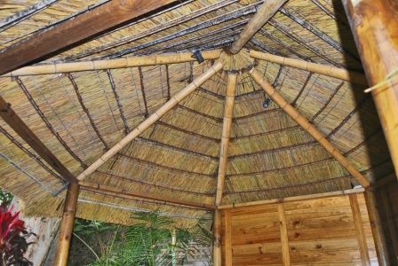 African_Rethatch_013-960×300