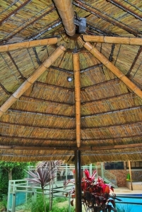 African_Rethatch_014-960×300