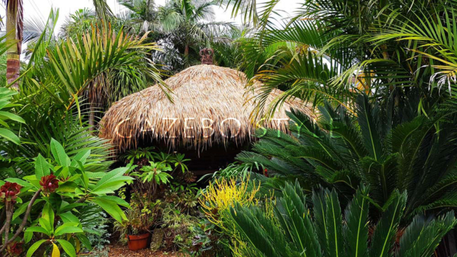 Traditional_Splayed_Rafter_Rethatch_EastHills 006