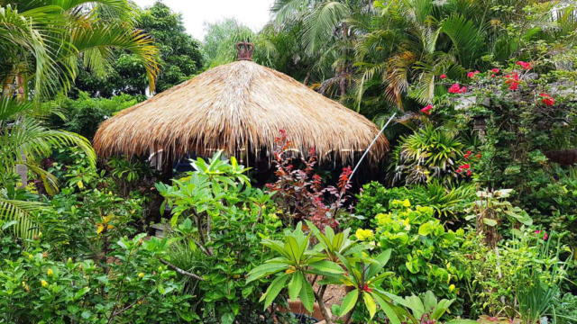 Traditional_Splayed_Rafter_Rethatch_EastHills 007