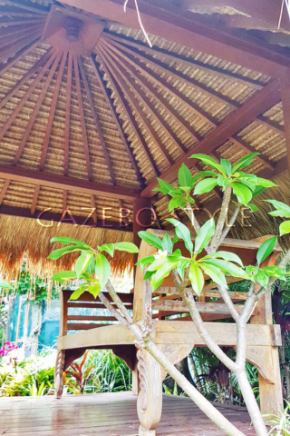 Traditional_Splayed_Rafter_Rethatch_EastHills 010