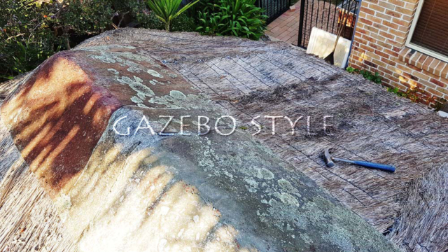 African_Oval_rethatch 001