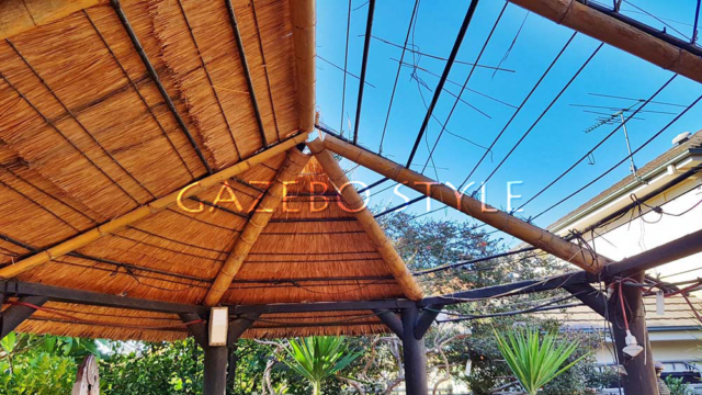 African_Oval_rethatch 002