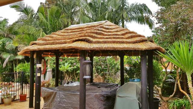 African_Oval_rethatch 006